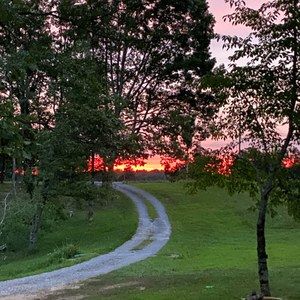 Meet your Posher, Sally